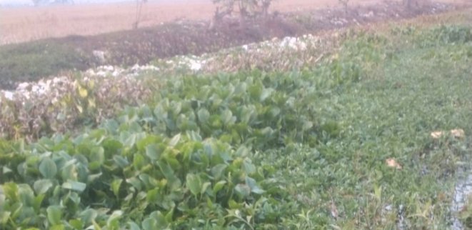 Kades Bolang Kecamatan Tirtajaya Usulkan Normalisasi Saluran Pembuang yang Mengalami Pendangkalan