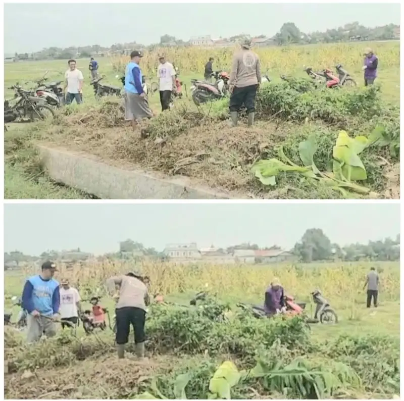 Pemerintah Desa Rawagempol Wetan Cilamaya Wetan Gelar Kegiatan Sabtu Bersih di Makam Alang Lanang