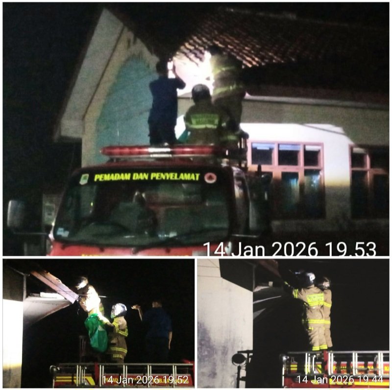 Sekolah Ucapkan Terima Kasih, Damkar Karawang Sigap Evakuasi Sarang Tawon Baluh di SDN Mekarasih 2 Banyusari