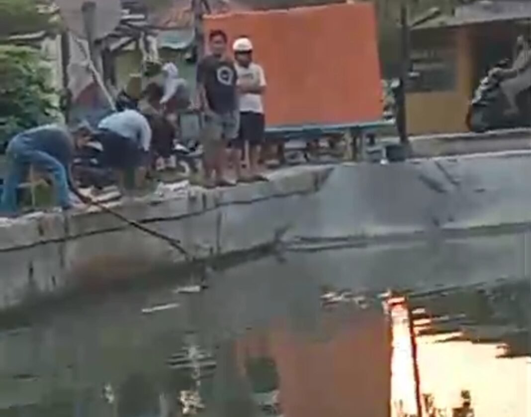 Diduga Tercemar Limbah, Puluhan Ikan Ditemukan Mati di Tanggul Johar Rawagabus Karawang Timur