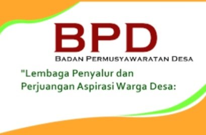 BPD Bukan Pajangan! Tiga Fungsi Utama Harus Dijalankan demi Kepentingan Masyarakat Desa